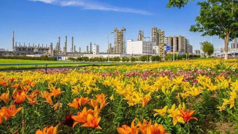 非离子表面活性剂：揭秘其型号规格与性能奥秘