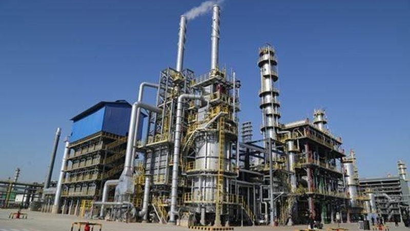 可降解购物袋原料：揭秘其背后的技术秘密与市场行情**